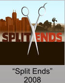 “Split Ends” 2008